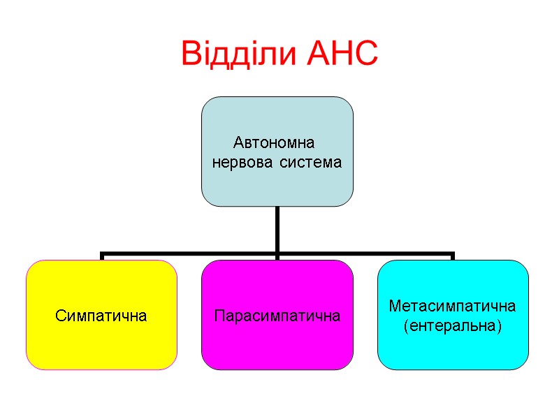 Відділи АНС